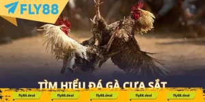 Kham pha thong tin da ga truc tuyen cua sat